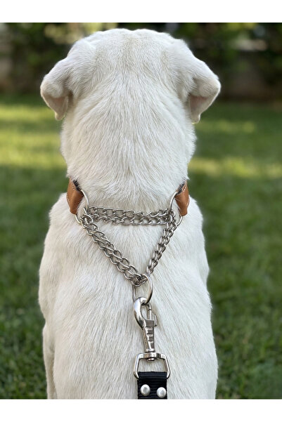 balkonda Dog Collar Adjustable Medium, Large and Extra Large Breed Leather Do...