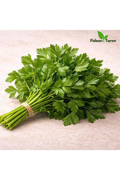 Fideon Maydanoz Fidesi | Bahçe ve Saksıya Uygun – 5 Adet
