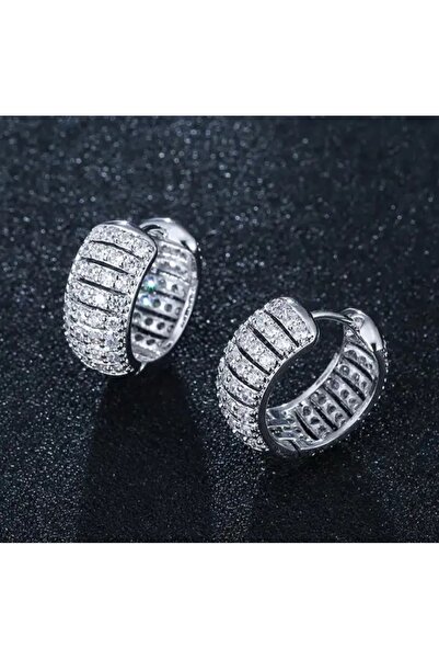 Silver Plated Luxury Earrings with Zircon Gemstone (does not tarnish)