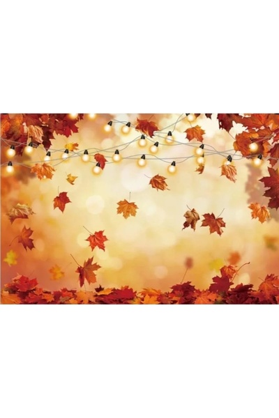 OEM Photography Background M32, 2.5 x 2M