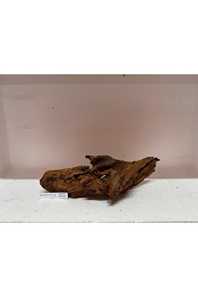 Meç Mangrow Kökü (No:20146a) [34x16x12h]