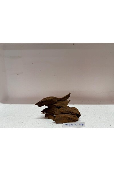 Meç Mangrow Kökü (No:20139) [18x10x11h]