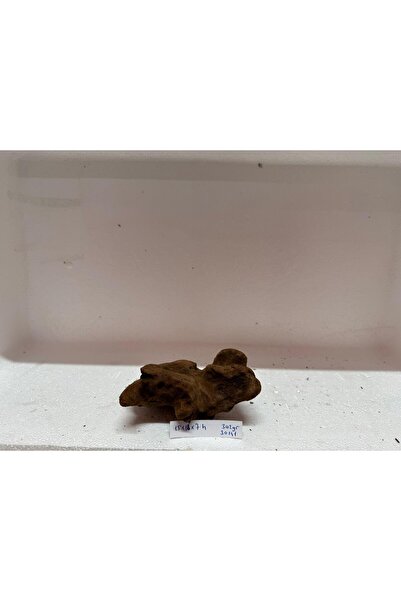 Meç Mangrow Kökü (No:30141) [15x18x7h]