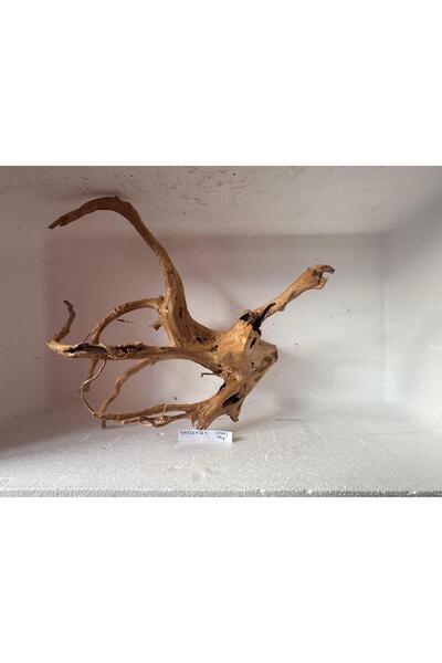 Meç Yati Kökü (No:200602) [40x20x36h]