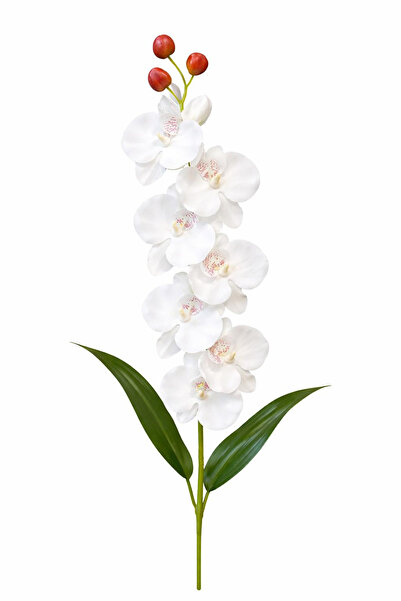 OEM Orhidee artificială albă elegantă, 6 flori și 3 boboci, 60 cm