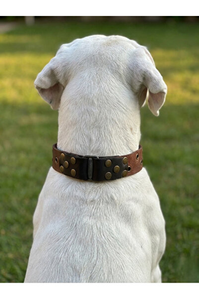 balkonda طوق للكلاب قابل للتعديل لجميع السلالات بعرض 3 سم من الجلد