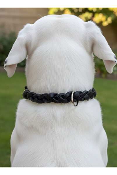 balkonda Dog Collar Adjustable Medium, Large & Extra Large Breeds 1.5cm Width...