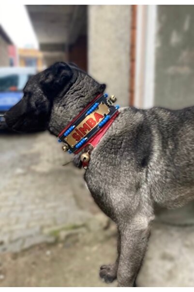 Sürmeli Tasma İsteğinize Özel İsimli Kangal Köpek Tasması 2 Zilli Mavi Boncuk...