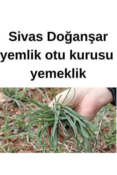 ŞİFAGIDA Yemlik Otu Kurusu 100 gr – Doğal & Lezzetli