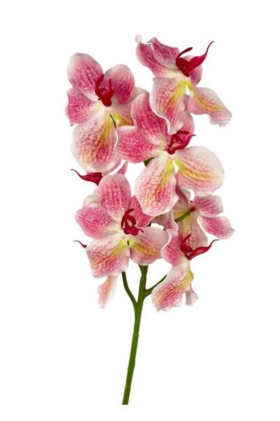 Nettenevime Yapay Çiçek Pembe Eva Orkide Büyük Boy Gerçeksi Doku Uzun Dal 68cm