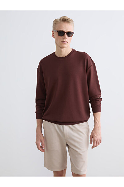 LC Waikiki LCW Vision Brown guler rotund Swea pentru bărbați tricou