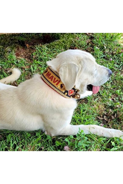 Sürmeli Tasma İsteğinize Özel İsimli Kangal Köpek Tasması Hakiki Manda Derisi...