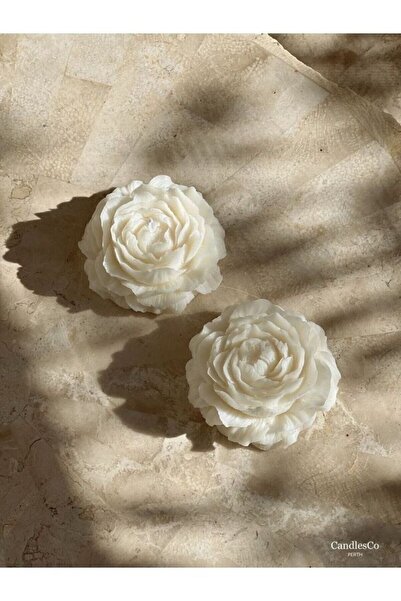Bernami Pinterest 2 paketa modela peonije, svijeća sa mirisom vanile