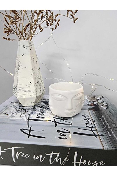 Bernami Ghiveci Pinterest Adler - Alb