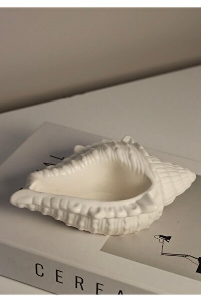 Roses Minimalist Seashell Decorative Object, Organizer, Display (Varnished)