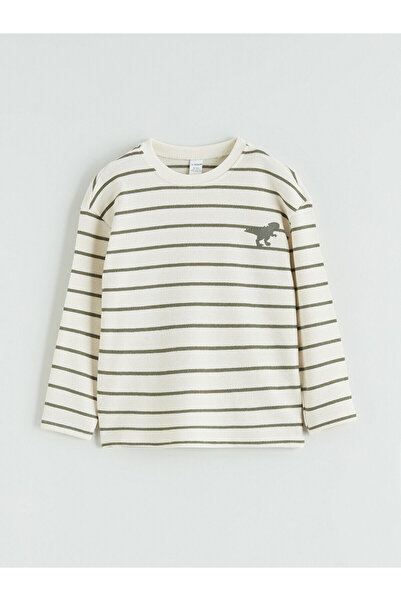 LC Waikiki Green Crew Neck Striped Boy's T-Shirt (S6)