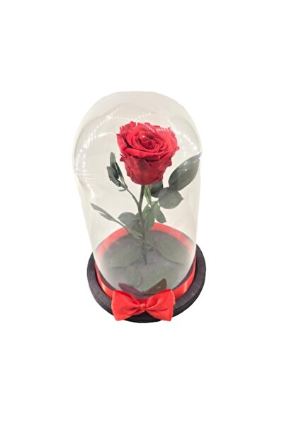 OEM Red Cryogenic Rose, Large Dome, 27 cm Height