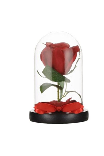 PROMERCO Decorative Rose PROMERCO, red in glass dome, dimensions 17 cm