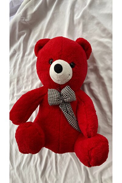 Z&B FLOWERS 60cm Plush Teddy Bear Plush Toy Gift for Lover
