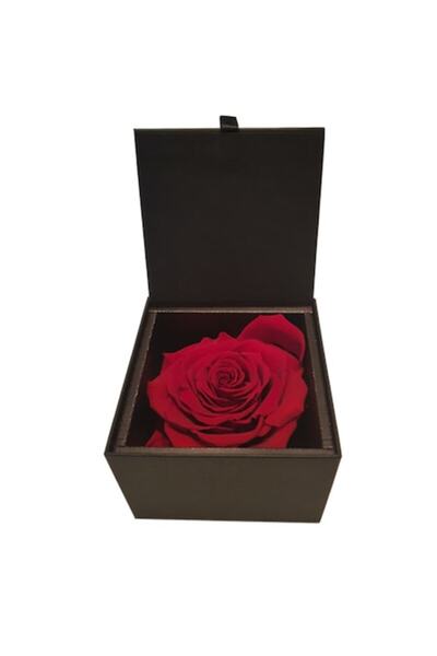 OEM Gift Box with Cryogenated Red Rose