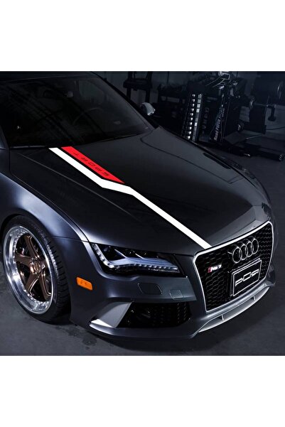 Avex Self-adhesive Tuning sticker set in two colors, model "Hood Stripes V3",...