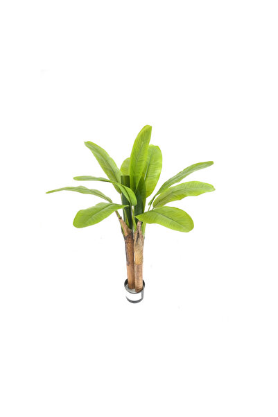 OEM Banana tree with two trunks 120cm