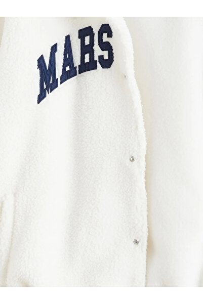 LC Waikiki Standard Fit Polo Neck Plush Men's Cardigan