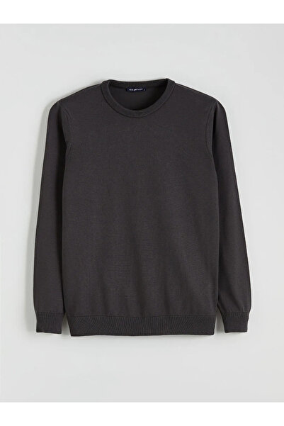 LC Waikiki Crew Neck Basic Men's Knitwear Sweater