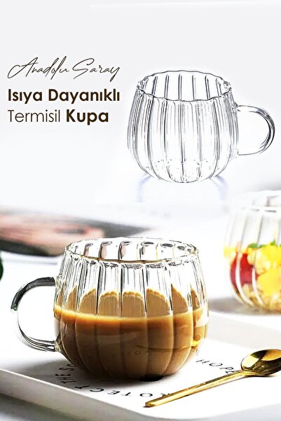 BİZ ZÜCCACİYE Isıya Dayanıklı Borosilikat Termisil Kupa Çizgi Tasarımlı Cam B...