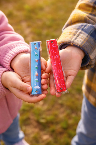 seymenbıçakçılık Çocuklar İçin Renkli Mızıka – Eğitici Nefesli Müzik Aleti (2...