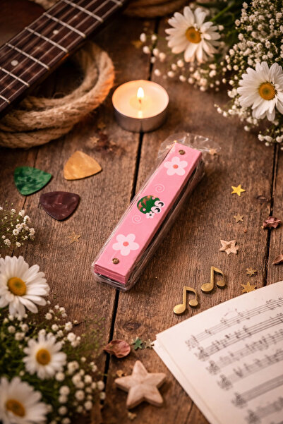 seymen bıçakçılık Çocuklar İçin Renkli Mızıka – Eğitici Nefesli Müzik Aleti (...