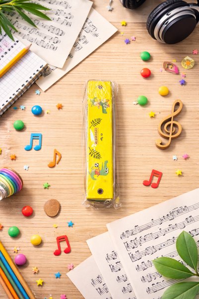seymen bıçakçılık Colorful Harmonica for Children – Educational Wind Instrume...