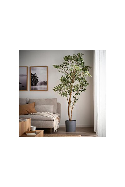IKEA yapay bitki, yeşil, 23 cm, Benjamin, iç/dış mekan