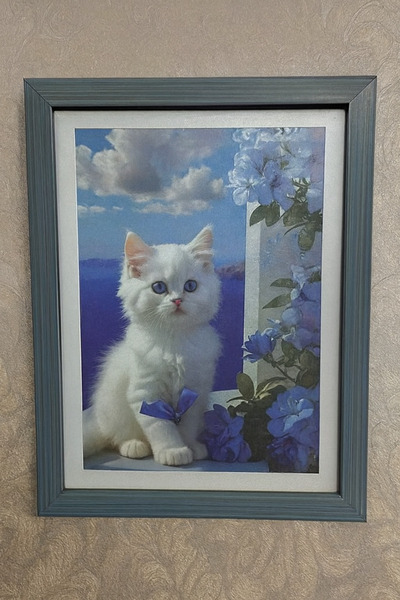SOFT Frame