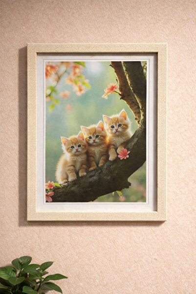 SOFT Frame