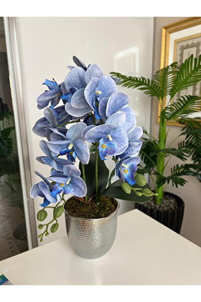 Acarya Design Islak Boy Görünümlü Yapay Mavi Orkide Aranjmanı