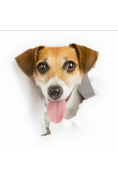 mertyavm Toilet Seat Sticker 2 Pieces Bathroom Sticker 20X28Cm Cute Dog Sticker Waterproof Sticker