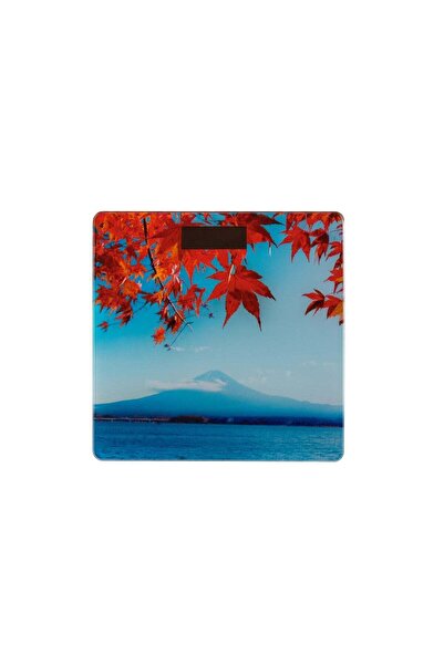 Generic Granzia Digital Weight Scale 180 Kilograms