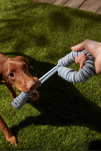 Tchibo Dog Tug Toy, White/Blue