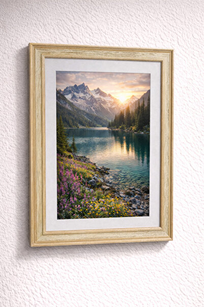 SOFT Frame