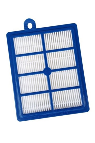 famous Arnica Tesla Premium Rose Et14300 Compatible Hepa Filter