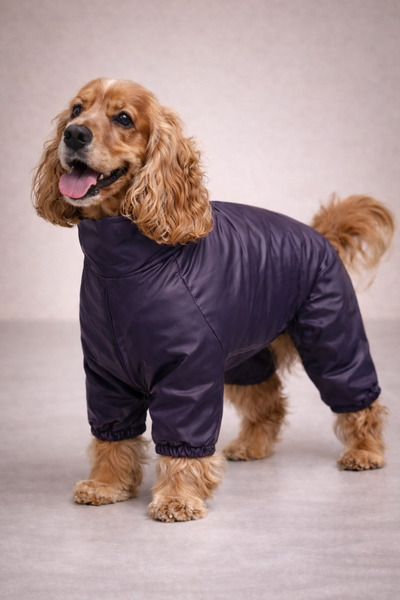 Alphadog Design Coverall Leather 4 Bacak Köpek Yağmurluğu