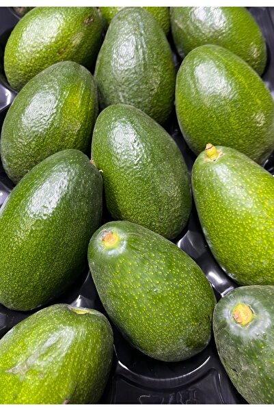 Fruit Paradise 30 adet Yerli Avokado