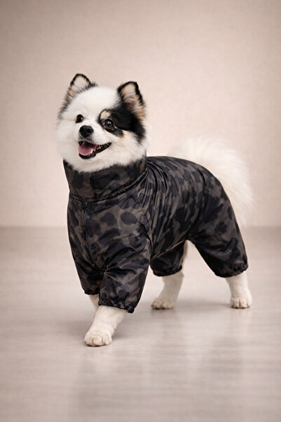 Alphadog Design Coverall Icon 4 Bacak Köpek Yağmurluğu