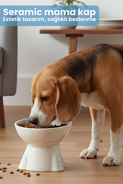 Pawicci Seramik Mama Kabı – Kedi ve Köpekler için Sağlıklı Mama Kasesi - Yükseltilmiş,Ayaklı Mama Kabı