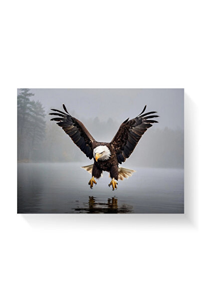 Printees Tablou - Vultur cu cap alb - Canvas pe șasiu