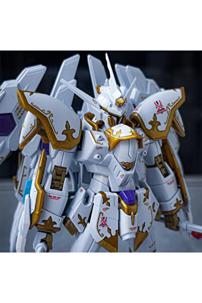 Choice Cal-re.A Hg 1/144 Seed Freedom Black Knight Squad With Light Wings Wat...