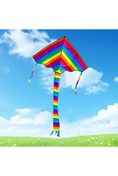 Choice kite with 50m Line Adults kite flying toys delta rainbow kite professi...