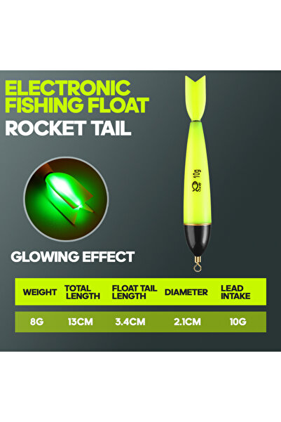 Choice عوامة صيد مضيئة من تايو، وزن 10 غرام، قطعة واحدة أو 5 قطع، ملحقات صيد ...