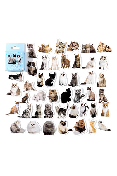 Choice A 45pcs Cute Cat Selfie Decorative Box Stickers Scrapbooking Material ...
